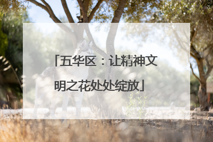 五华区：让精神文明之花处处绽放