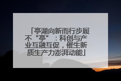 亭湖向新而行步履不“亭”：科创与产业互融互促，催生新质生产力澎湃动能