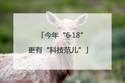 今年“6·18”更有“科技范儿”