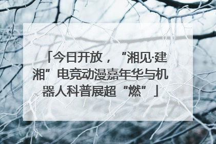 今日开放，“湘见·建湘”电竞动漫嘉年华与机器人科普展超“燃”