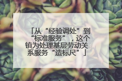从“经验调处”到“标准服务”，这个镇为处理基层劳动关系服务“造标尺”