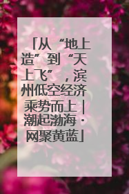 从“地上造”到“天上飞”，滨州低空经济乘势而上｜潮起渤海・网聚黄蓝