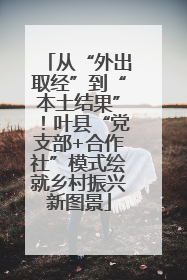 从“外出取经”到“本土结果”！叶县“党支部+合作社”模式绘就乡村振兴新图景