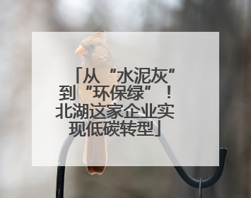 从“水泥灰”到“环保绿”！北湖这家企业实现低碳转型