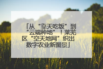 从“靠天吃饭”到“云端种地”！莱芜区“空天地网”织出数字农业新图景
