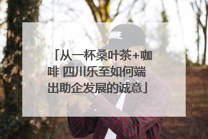 从一杯桑叶茶+咖啡 四川乐至如何端出助企发展的诚意