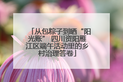 从包粽子到晒“阳光账” 四川资阳雁江区端午活动里的乡村治理答卷