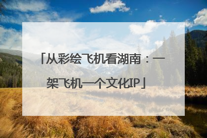 从彩绘飞机看湖南：一架飞机一个文化IP