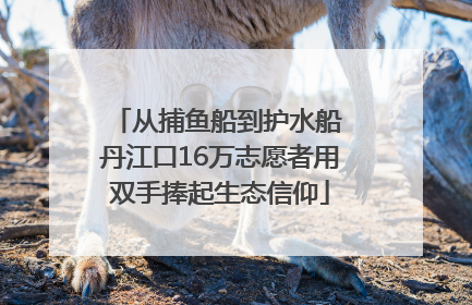 从捕鱼船到护水船 丹江口16万志愿者用双手捧起生态信仰