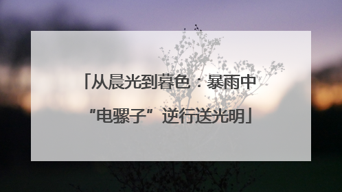 从晨光到暮色：暴雨中“电骡子”逆行送光明