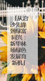 从治沙先锋到绿富同兴：新华林场绿色发展育新机