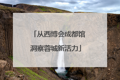 从西博会成都馆洞察蓉城新活力