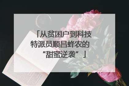 从贫困户到科技特派员顺昌蜂农的“甜蜜逆袭”