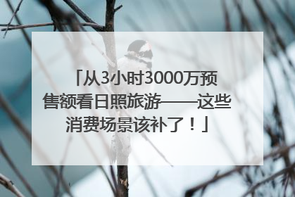 从3小时3000万预售额看日照旅游——这些消费场景该补了！