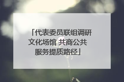 代表委员联组调研文化场馆 共商公共服务提质路径