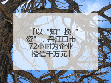 以“知”换“资”，丹江口市72小时为企业授信千万元
