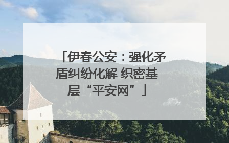 伊春公安：强化矛盾纠纷化解 织密基层“平安网”