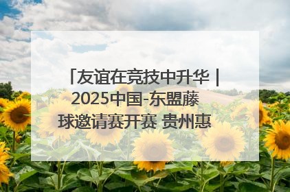 友谊在竞技中升华｜2025中国-东盟藤球邀请赛开赛 贵州惠水燃动“空中芭蕾”