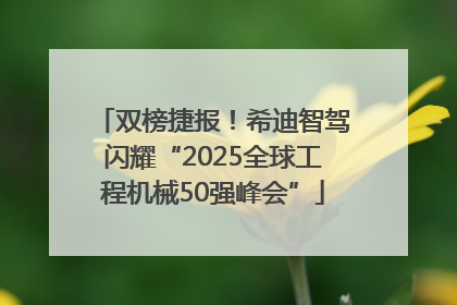 双榜捷报！希迪智驾闪耀“2025全球工程机械50强峰会”