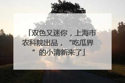 双色又迷你，上海市农科院出品，“吃瓜界”的小清新来了
