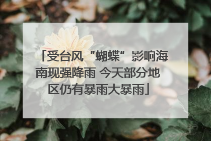 受台风“蝴蝶”影响海南现强降雨 今天部分地区仍有暴雨大暴雨