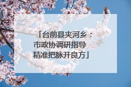 台前县夹河乡：市政协调研指导 精准把脉开良方