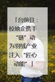 台前县：校地企携手“链”动 为羽绒产业注入“匠心动能”