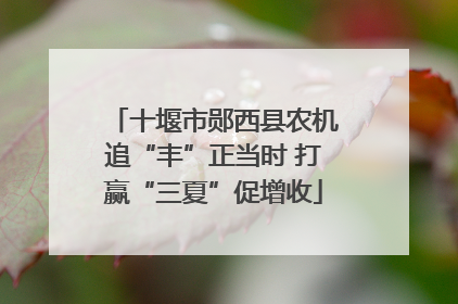 十堰市郧西县农机追“丰”正当时 打赢“三夏”促增收