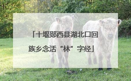 十堰郧西县湖北口回族乡念活“林”字经