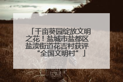 千亩葵园绽放文明之花！盐城市盐都区盐渎街道花吉村获评“全国文明村”