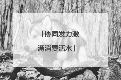 协同发力激涌消费活水