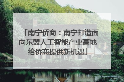 南宁侨商：南宁打造面向东盟人工智能产业高地给侨商提供新机遇