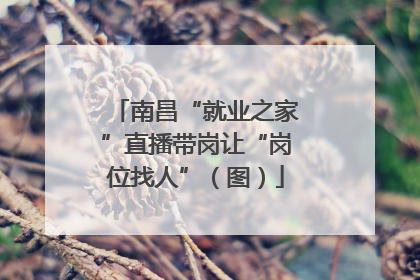 南昌“就业之家”直播带岗让“岗位找人”（图）