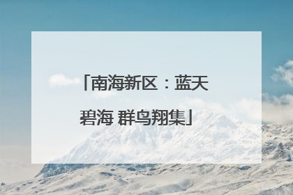南海新区：蓝天碧海 群鸟翔集