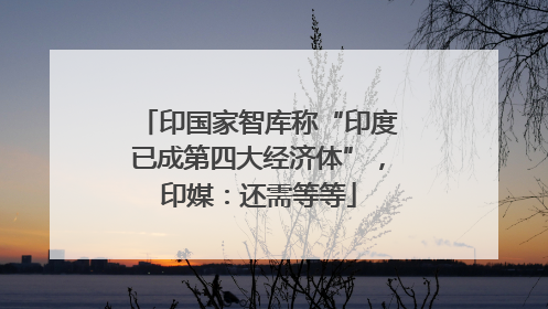 印国家智库称“印度已成第四大经济体”，印媒：还需等等