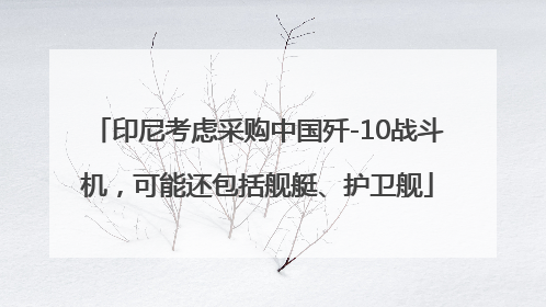 印尼考虑采购中国歼-10战斗机，可能还包括舰艇、护卫舰