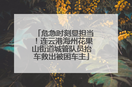 危急时刻显担当！连云港海州花果山街道城管队员抬车救出被困车主