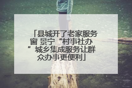 县城开了老家服务窗 景宁“村事社办”城乡集成服务让群众办事更便利