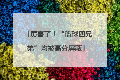 厉害了！“篮球四兄弟”均被高分屏蔽