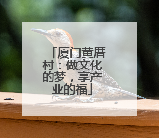 厦门黄厝村：做文化的梦，享产业的福