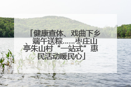 健康查体、戏曲下乡、端午送粽……枣庄山亭朱山村“一站式”惠民活动暖民心