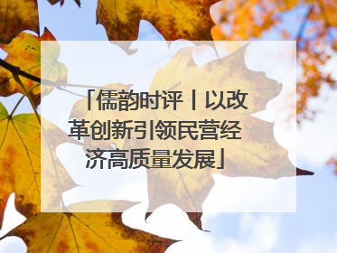 儒韵时评丨以改革创新引领民营经济高质量发展