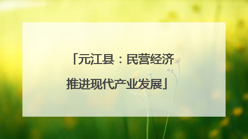 元江县：民营经济推进现代产业发展