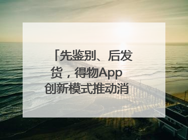 先鉴别、后发货，得物App创新模式推动消费正品化升级