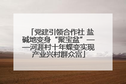 党建引领合作社 盐碱地变身“聚宝盆”——河涯村十年蝶变实现产业兴村群众富