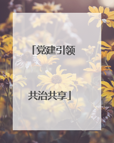 党建引领 共治共享