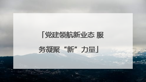 党建领航新业态 服务凝聚“新”力量