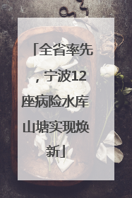 全省率先，宁波12座病险水库山塘实现焕新