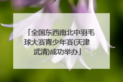 全国东西南北中羽毛球大赛青少年赛(天津武清)成功举办
