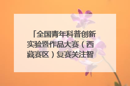 全国青年科普创新实验暨作品大赛（西藏赛区）复赛关注智慧环保等主题